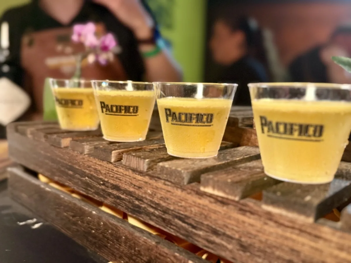 Pacifico beer flight