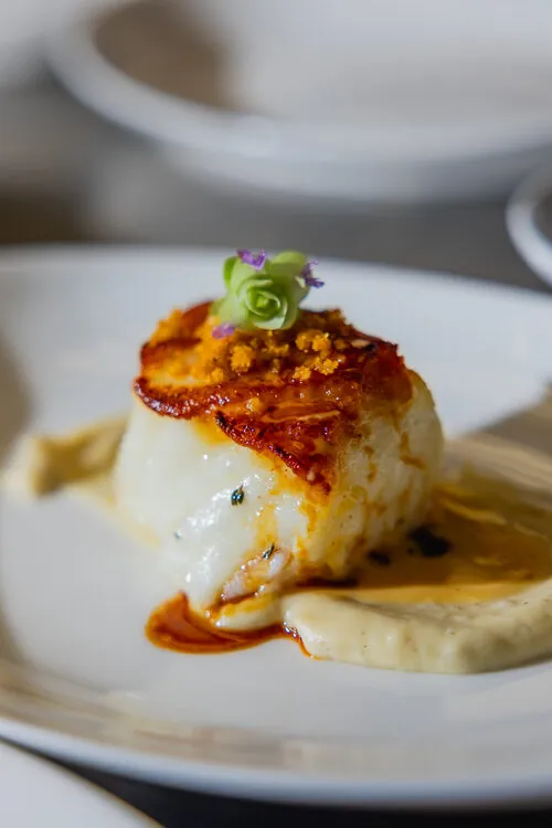 Seared fish fillet plated with sauce and micro herbs